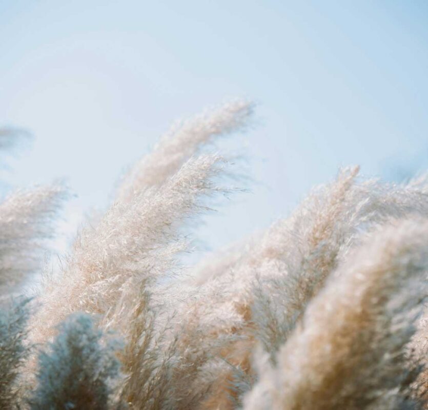 Aromalide™ by CPL Aromas