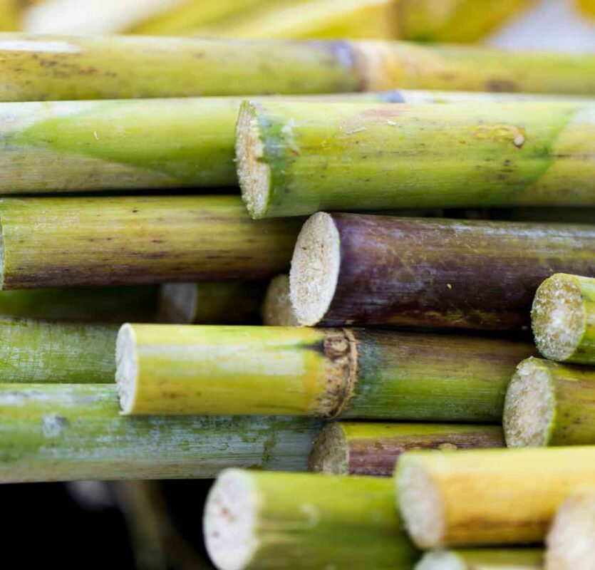 Clearwood® Prisma by dsm-firmenich