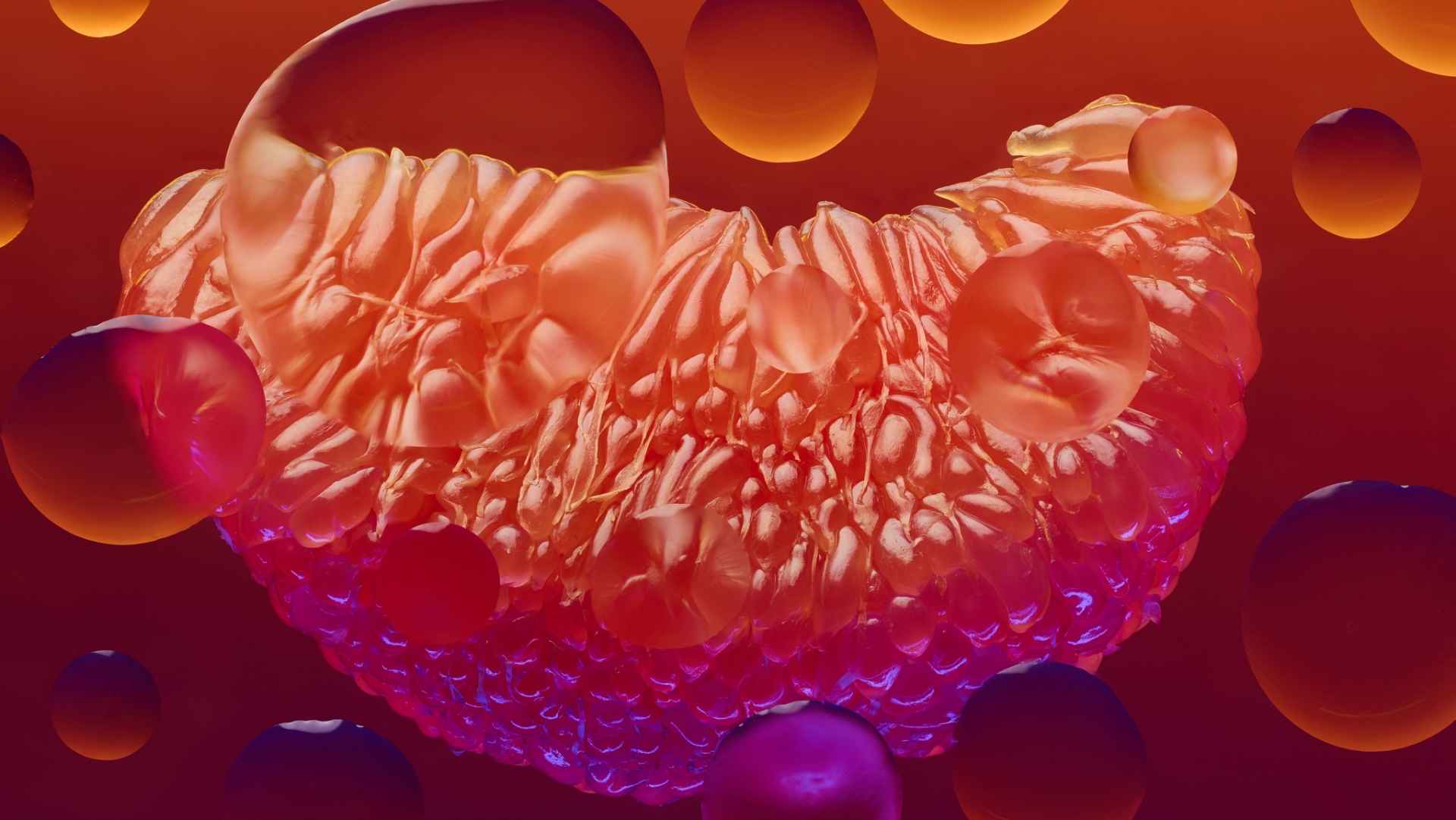 The art of Smellmaxxing