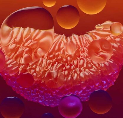 The art of Smellmaxxing